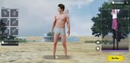 PUBG Mobile Screenshot showcasing the new companion system